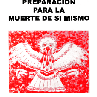 Portada PPLMDSM